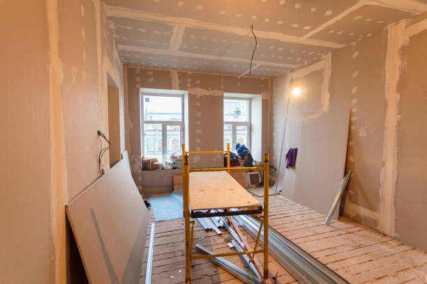 Best Mold Damage Restoration  in Rollingwood, CA
